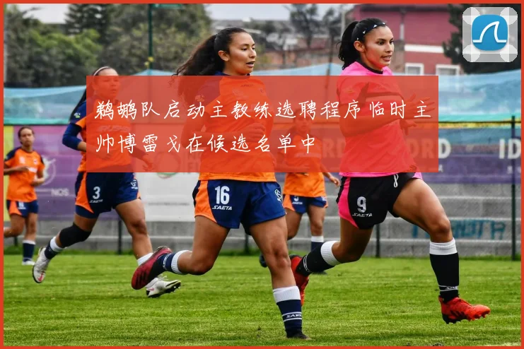 鹈鹕队启动主教练选聘程序临时主帅博雷戈在候选名单中