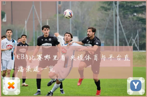 CBA比赛哪里看 央视体育与平台直播渠道一览