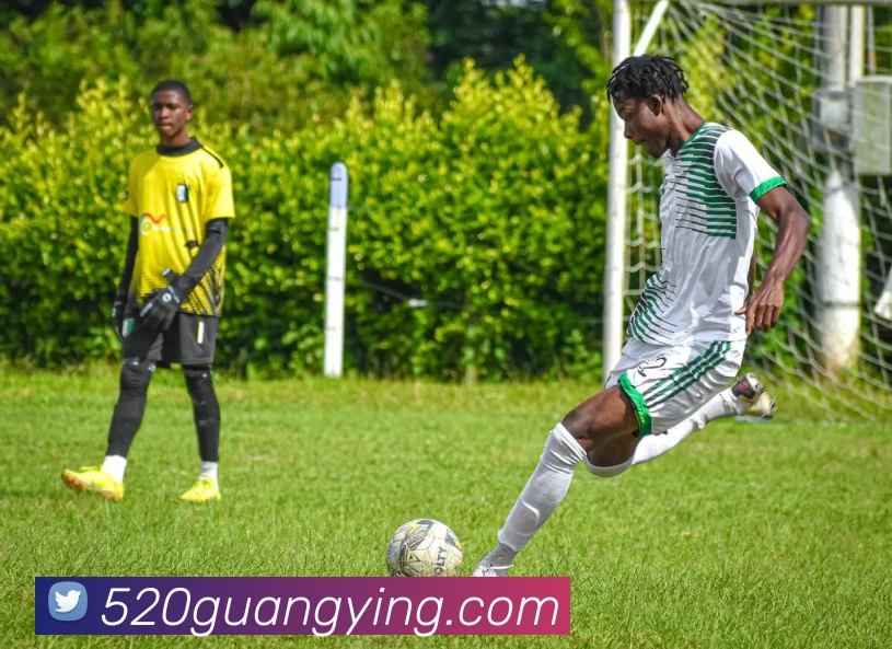 九游网官网登录入口平台生态图